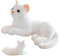 QWEPU Weiß Katze Plüschtier,Katze Kuscheltier,Katze Puppe Gefüllte Lebensechte Katze Plüschtier Spielzeug Für Heimdekoration, Fotografie-Requisiten,30CM