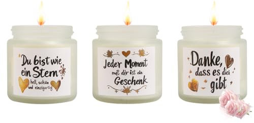 Candle Duftkerzen im Glas set, Geschenkset für Frauen Männer, 3 Stück Kerze im Glas, Rosenduft, Kleine Kerzen Geschenke für Geburtstag, Valentinstag, Muttertag, Vatertag