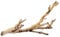 Exo Terra Forest Branch, Small (Exact Size May Vary)