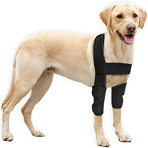 Zaslan Ellenbogenbandage für Hunde – Schutzpolster für Ellenbogen- und Schulterstütze bei Hunden, Ellenbogenhygroma, Dysplasie, Osteoarthritis, Ellenbogenschwielen, Schwarz