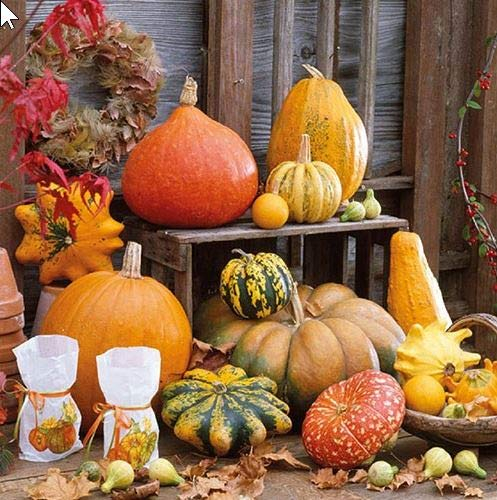 Ambiente Servietten Lunch / Party / ca. 33x33cm Herbst - Autumn - Pumpkins picture - Kurbis