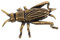 HOOTNEE Vintage Grillenfigur Aus Messing Mini Ebene Statue Als Schreibtischdekor Retro Skulptur Für Büro Und Zuhause Gold Ornament Dekorativ Figur Auto