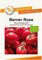 BIO-Tomatensamen Berner Rose Portion