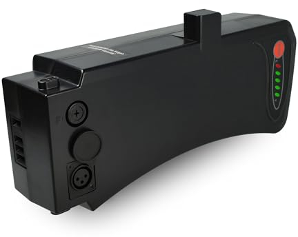 vhbw Batterie Compatible avec Zündapp Alu City Green 3.0 vélo électrique (8,8Ah, 36V, Li-ION) - Noir