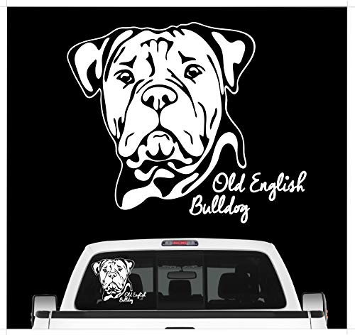 siviwonder Auto Aufkleber Old English Bulldog Portrait Bully Hund OEB Wilsigns Hundeaufkleber autoaufkleber Hund Folie Hundemotiv (weiß)
