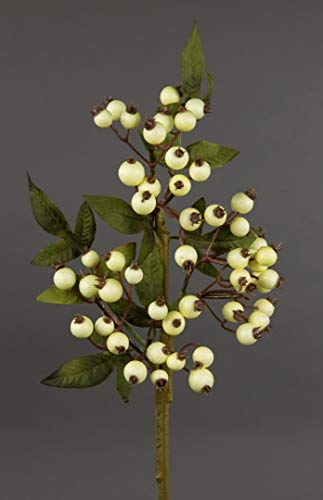 Seidenblumen Roß Hagebuttenzweig 34cm weiß-Creme DP Kunstzweig künstliche Hagebutte Kunstpflanzen Beerenzweig