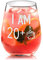 Livole Unusual 21st Birthday Gifts for Her, Him, Men, Best Friend, Happy 21st Birthday, I AM 20+, 21st Anniversary Presents, 15oz Stemless 20+ Wine Glasses, Tumbler Glasses for Red Wine, Cocktail