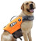 KAJILE Helle Farben Canine Schwimmweste,Hunde-Badeanzug,Sportstil Canine Schwimmweste,Verstellbare Hundeschwimmweste mit Rettungsgriff für Kleine Mittelgroße Hunde,Orange,L