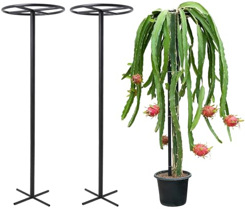 GOOOXIM Enrejado de fruta del dragón de 60 pulgadas, 2 soportes de metal duraderos para plantas trepadoras, enrejado de jardín al aire libre fácil de montar para entusiastas de la fruta del dragón