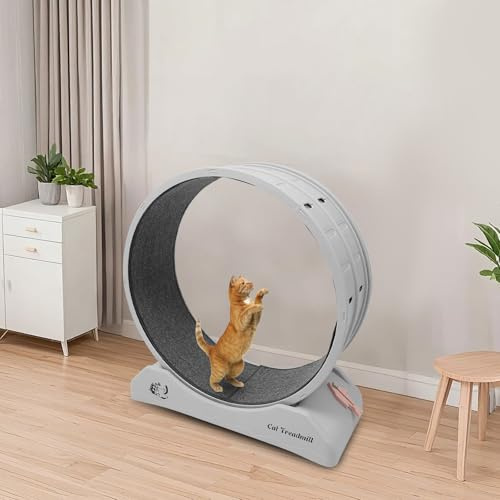 Gdetnysty Katzenlaufrad Laufrad FüR Katzen Mit Arretierung Mit GroßEr Raddurchmesser Nahtloses Design Glatte Kanten 10Kg/ 22.05 Lbs 80x35x85 cm FüR Katzen Und Kleine Hunde In Allen Stadien