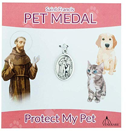 St. Francis Pet Medaille für Haustiere, oval, klein, tolles Geschenk für Haustierliebhaber, mit Karte in verschiedenen Farben Pink Card