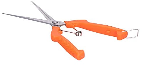 Tijeras de jardín, Tijeras de flores Tijeras de jardín Tijeras de floristería Tijeras de mango largo para recoger frutas para arreglar flores Plantas de poda