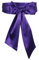 JasGood Damen Schärpe Kleid Gürtel für Hochzeit Party Lange Schärpe Brautgürtel für besondere Anlässe, 250cm, Violett