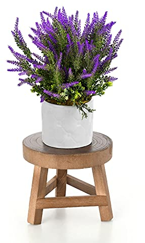 NZXVSE Mini Holzhocker Display Stand - Runde Holz Deko Blumenregal Bonsai Rack Hocker, Topfregal Pflanzer Stützen Dekorativ für Haus, Garten, Terrasse