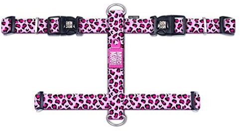 Max & Molly Hundegeschirr in H-Form, Ultrabequemes Geschirr Hund aus Neopren für kleine Hunde, Leopard Pink/S, Gepolstert, Sicher & Ultraleicht – Komfort für deinen treuen Begleiter