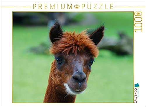 CALVENDO Puzzle Braunes Alpaka | 1000 Teile Lege-Größe 64 x 48 cm Foto-Puzzle für glückliche Stunden