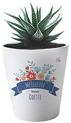 CADEAUX.COM - Pot de Fleurs Fleurie 10 cm Personnalisé - Meilleure Mamie Cadeau Fete des Grand Meres - Cadeau Maman Cadeau Original - Cadeau Noel