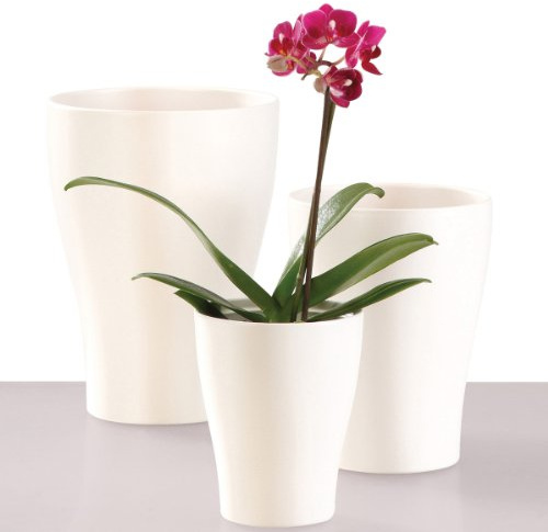 Scheurich Orchideentopf Panna (10 cm)