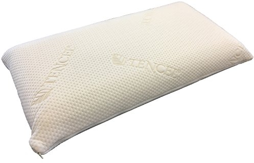 ESPiCO Visco Nackenstützkissen Hightech Naturfaser Tencel Kissen Viscoschaum Memory Effekt