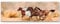 Paul Sinus Art Leinwandbilder | Bilder Leinwand 120x40cm Laufende Pferde in der Steppe