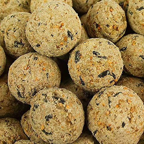 BusyBeaks Suet Fat Balls | Premium Garden Wild Bird Food | Enhanced Year-Round Formula | Naturally Blended High in Energy & Protein-Rich Feed | Full of Fresh Nutritious Fat Fibre & Moisture (10 Pack)
