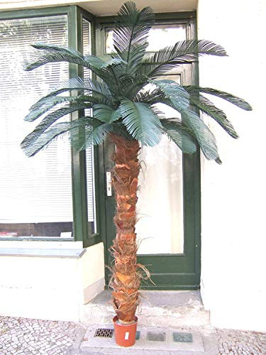 Licht & Grün exclusive Kunstpflanzen Künstliche Cycaspalme- für den geschützten Außenbereich- ca.2,30m Spitzen-Qualität