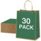NAHRMY 30 Stück Papiertüten, Geschenktüten Kraftpapiertüten mit Henkel, 27x11x21cm Kraftpapier Partytüten für Einkaufen, Hochzeiten, Verpackungen, Geburtstag, Kindergeburtstag (Grün)