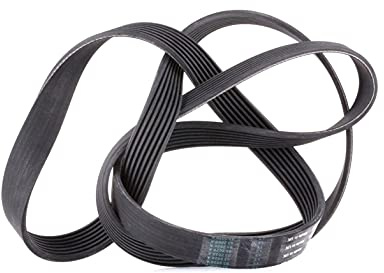 INA FB 7PK1795 Distribution Straps