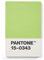 Pantone Unisex Kredit-und Visitenkartenhalter Kreditkartenhalter, Greenery 15-0343