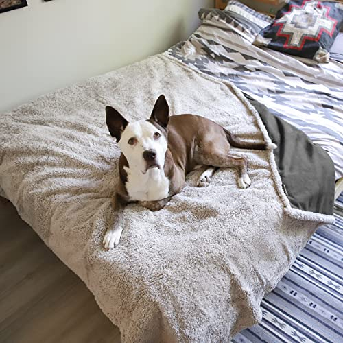 Kritter Planet Hundedecke Wasserdicht, Liebesdecke Sex Decke Wasserdicht, Waschbar Kuscheldecke Sofaschutz Tagesdecke für Sofa Autositz Couch Bett, XL 150x200cm Große Decke, Grau/Taupe