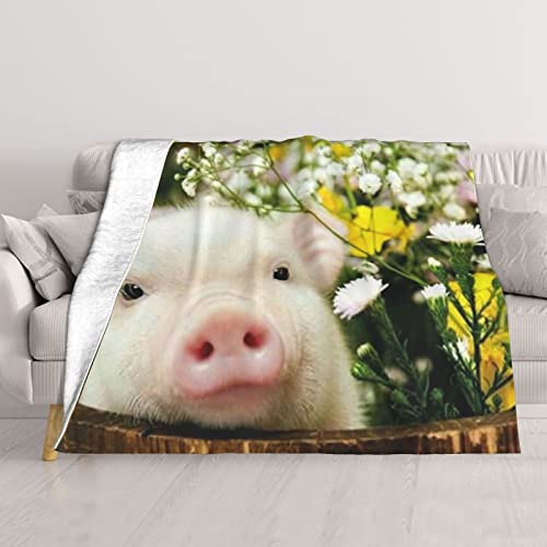 SYLALE Decke mit Rapsblumen-Schweine-Motiv, bedruckt, 153 x 127 cm, Anti-Pilling-Decke, Überwurf für Bett, Wohnzimmer, Sofa, Couch