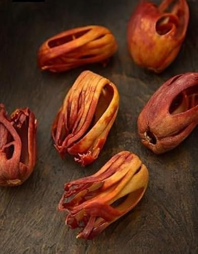 Trothic Spices Whole Javitri Spice, Nutmeg Mace Whole, Japatri Flower, Jathipathri Pure Premium Grade Quality 20g