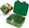 Jarlson® Brotdose Kinder mit Fächern MILI | Lunchbox BPA frei | Bento Box auslaufsicher | Snackbox | Jausenbox für Kindergarten und Schule |1000 ml - Leichtgewicht (Fuchs Grün)