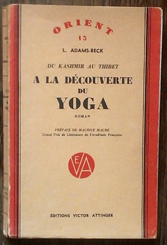 Du Kashmir au Tibet, a la découverte du yoga, roman