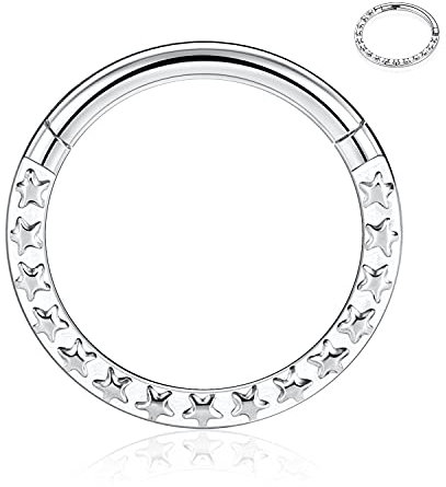 AROWRO 316L Silber Septum Schmuck 16G Septum Ringe Daith Schmuck 16G Conch Piercing Schmuck Higend Segment Nase Hoops Septum Hoop Clicker Ringe Rook Helix Tragus Knorpel Lobe Ohrringe 10mm