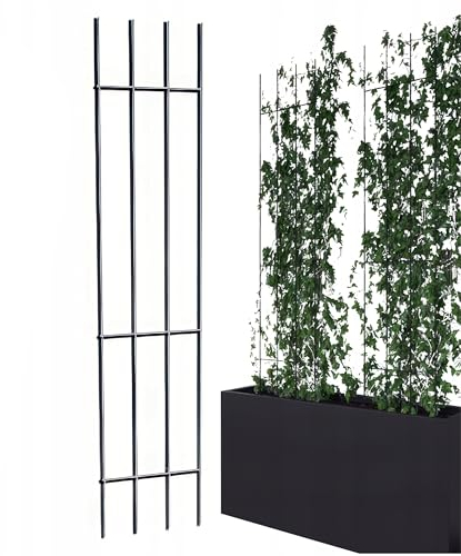 Kapaga - Rankgitter - Rankhilfe Garten - Staudenhalter - Blumenhalter - Rankengewächs Pflanzenstütze - Blumenstütze - Staudenstütze - Rankhilfe Strauchhalter (Schwarz, 150 cm)