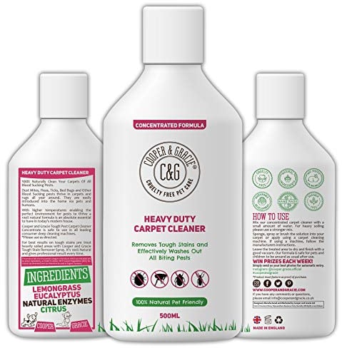 Heavy Duty Pest Carpet Cleaner Concentrate 500ml | Natural Cruelty Free Enzyme Blend | Effective Against Washing Away Blood Sucking Pest Bug From Dirty Carpets