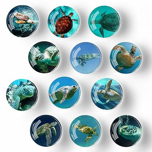 Kühlschrankmagnete aus Glas, Schildkröte, Dekoration zum Basteln, starke Kühlschrankmagnete für Küche, Schule, Büro, Whiteboard, Schrank und Geschirrspüler, 12 Stück