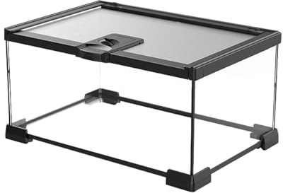 Terrarium en verre transparent avec couvercle en maille ventilée et base étanche, 30 x 20 x 15 cm, pour petits reptiles