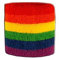 Flaggenfritze® Schweissband Flagge Regenbogen