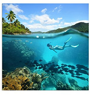 80x80cm - Fotodruck auf Leinwand und Rahmen Korallenriff Fische Taucher Meer Natur - Leinwandbild auf Keilrahmen modern stilvoll - Bilder und Dekoration