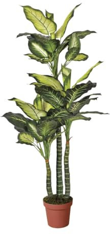 Nortene | Planta Artificial Pata De Elefante 150 Cm | Plantas Artificiales Decorativas | Planta Artificial Realista | Planta Tropical | Decoración De Hogar Y Oficina