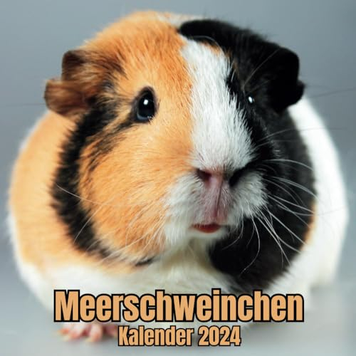 Meerschweinchen Kalender 2024: November 2023 bis Dezember 2024, für Männer, Frauen, Mädchen und Jungen