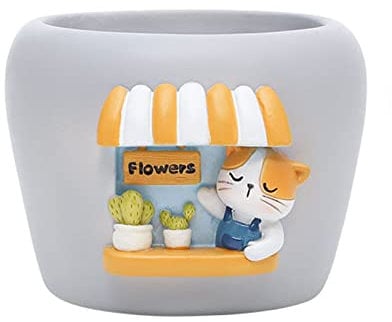 Blumenübertopf Kunststoff Sukkulenten Kleinen Blumentopf Hause Balkon Dekoration Grün Gartenarbeit Kreative Mikro Sukkulenten Blumentopf Orchideen Töpfe Groß (B, One Size)