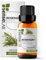 SenseLAB Olio essenziale di Rosmarino - Olio di Rosmarino Terapeutico Naturale e Puro al 100% per Umidificatore Diffusore di Aromaterapia - Olio per la Cura Dei Capelli e Della Pelle (10 ml)