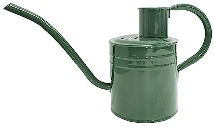 Kent & Stowe Arrosoir d'intérieur 1 L en Acier galvanisé résistant à la Rouille avec poignée et Long Bec, Outils de Jardin Classiques Tout au Long de l'année