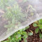 Garden Tailor 3mx20m Insektenschutznetz Gemüseschutznetz Insektenschutznetz GartennetzInsekten Vgel Fliegen Schutznetz Gemse Blumen Schutz Netz fr Garten Gemsegarten Obstgarten schtzen
