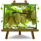 Actinidia - Kiwi Variété Jaune Plante Fruitière Jinfeng sur 20 arbres max 170 cm - 2 ans