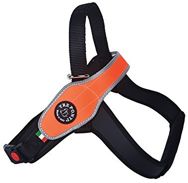 Tre Ponti Doggie Style Store Hundehalsband, Gr. M, Orange
