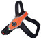 Tre Ponti Doggie Style Store Hundehalsband, Gr. M, Orange